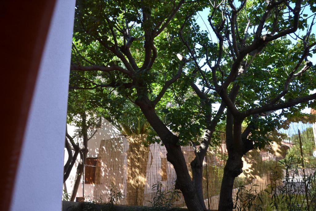 Residence Ataras Porto San Paolo  Dış mekan fotoğraf